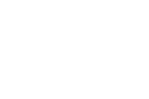 beastx